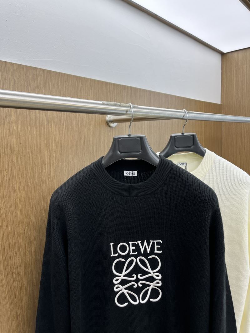 Loewe Sweaters